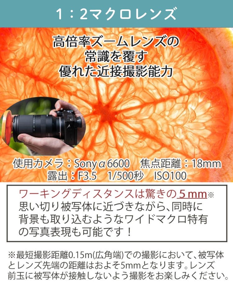 レビューでレンズキャッププレゼント  バッグ付き！ タムロン 18-300mm F3.5-6.3 Di III-A VC VXD ソニーEマウント用 B061S