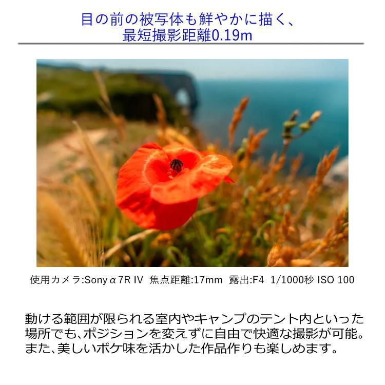 レビューでプレゼント タムロン 17-50mm F/4 Di III VXD ソニーEマウント用 フルサイズ対応 A068SF