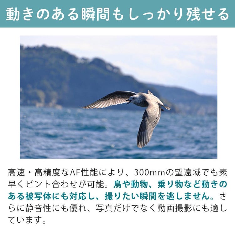 レビューでプレゼント タムロン 18-300mm F3.5-6.3 Di III-A VC VXD ソニーEマウント用 B061S