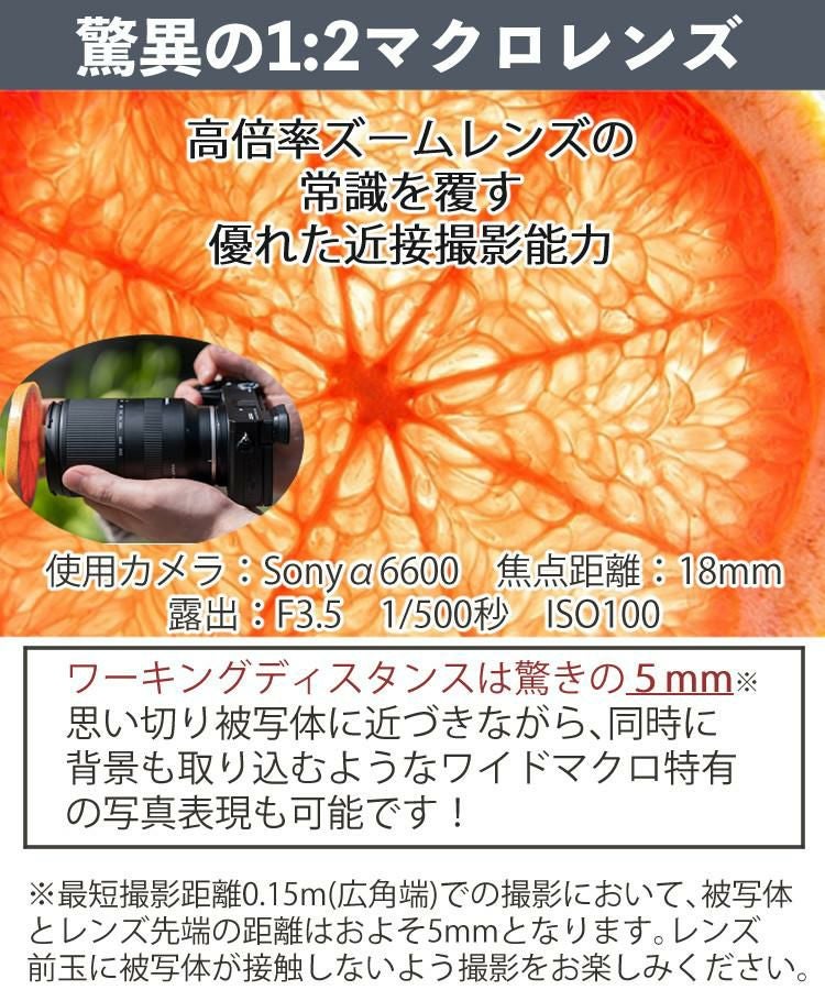 レビューでプレゼント タムロン 18-300mm F3.5-6.3 Di III-A VC VXD ソニーEマウント用 B061S