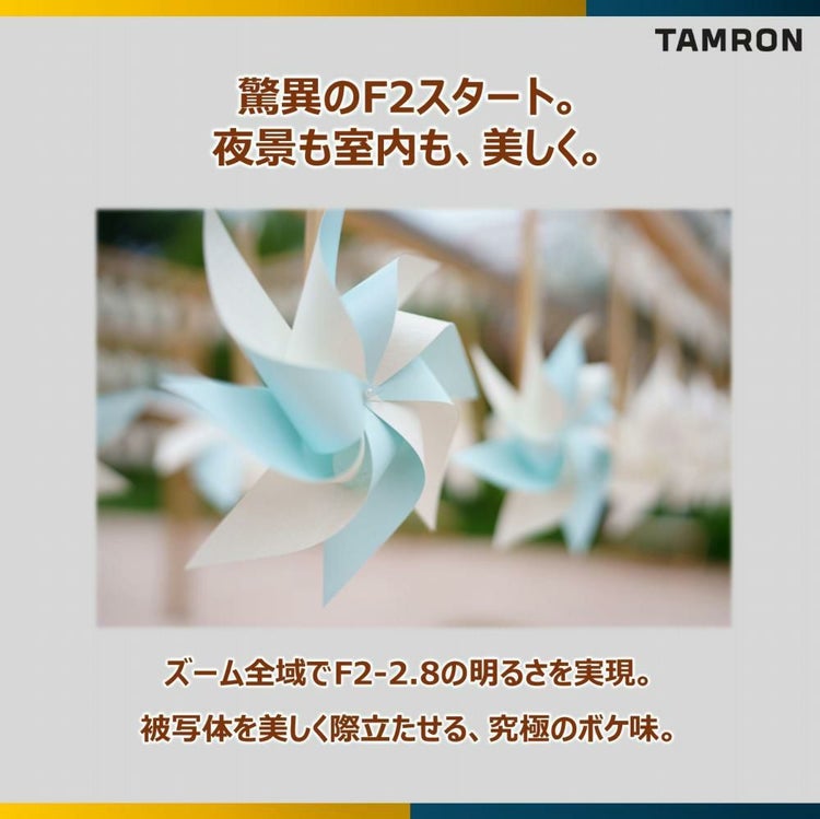 レビューでプレゼント  バッグ付き タムロン 35-150mm F/2-2.8 Di III VXD ソニーEマウント用 A058