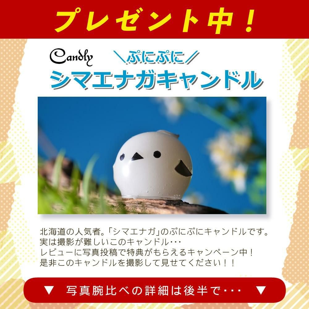 レビューでレンズキャッププレゼント  バッグ付 タムロン 70-180mm F/2.8 Di III VC VXD G2 ソニーEマウント用 A065SF