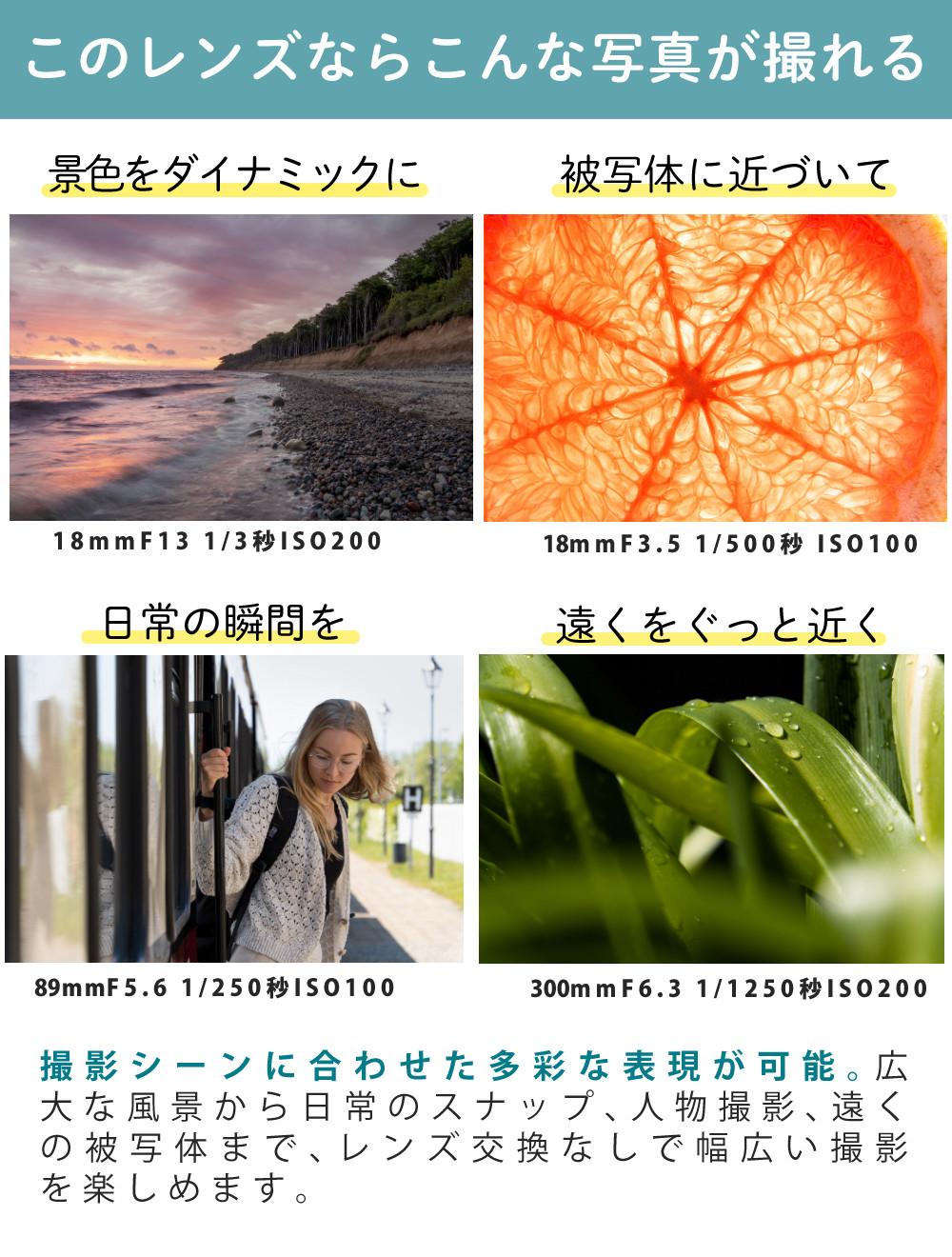 レビューでプレゼント  レンズ保護フィルター付 タムロン 18-300mm F3.5-6.3 Di III-A VC VXD ソニーEマウント用 B061S