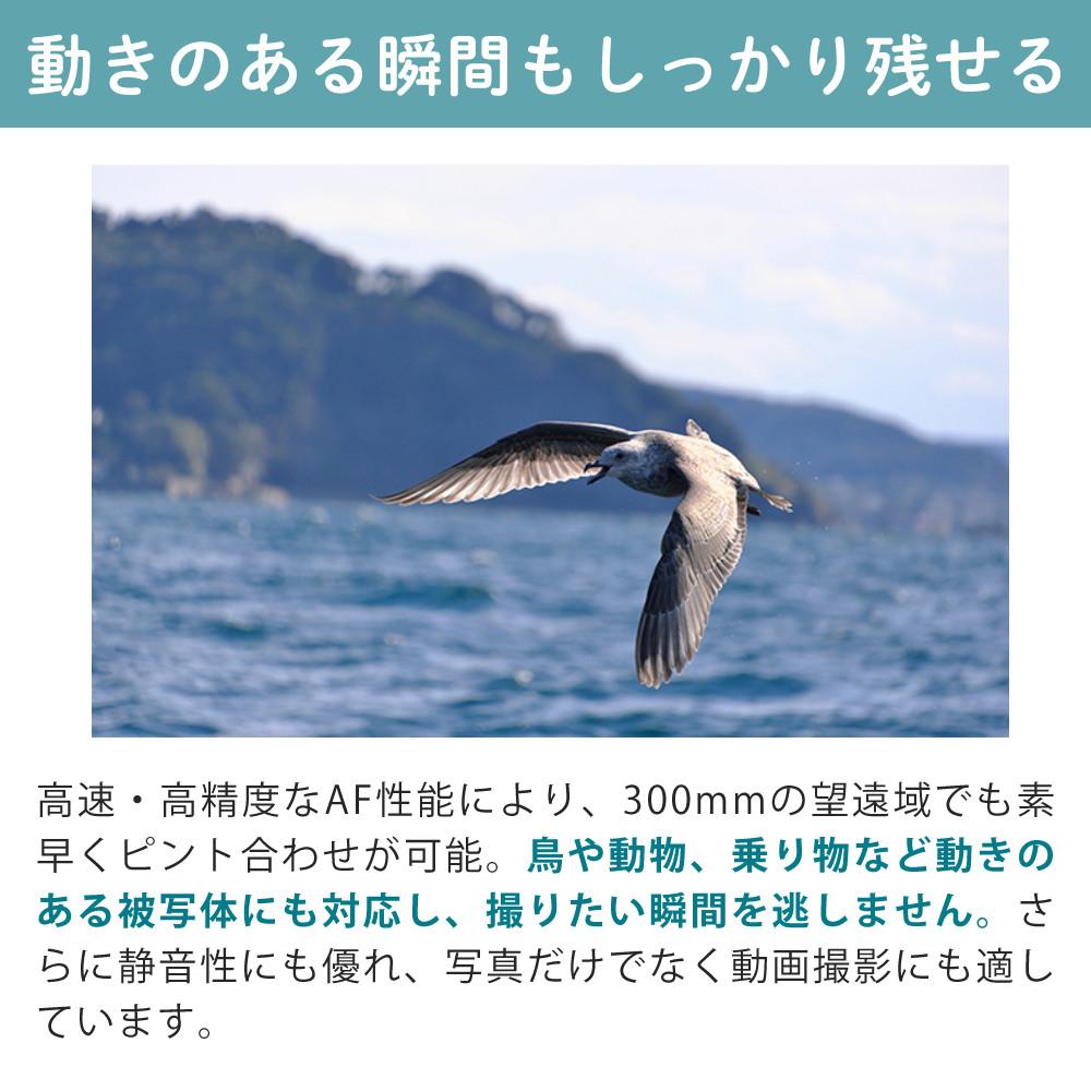 レビューでプレゼント  レンズ保護フィルター付 タムロン 18-300mm F3.5-6.3 Di III-A VC VXD ソニーEマウント用 B061S