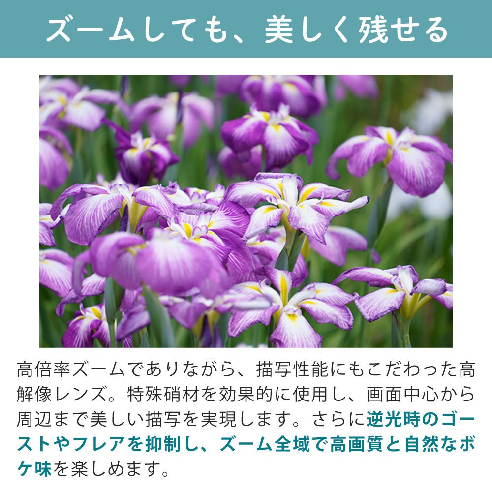 レビューでプレゼント  レンズ保護フィルター付 タムロン 18-300mm F3.5-6.3 Di III-A VC VXD ソニーEマウント用 B061S