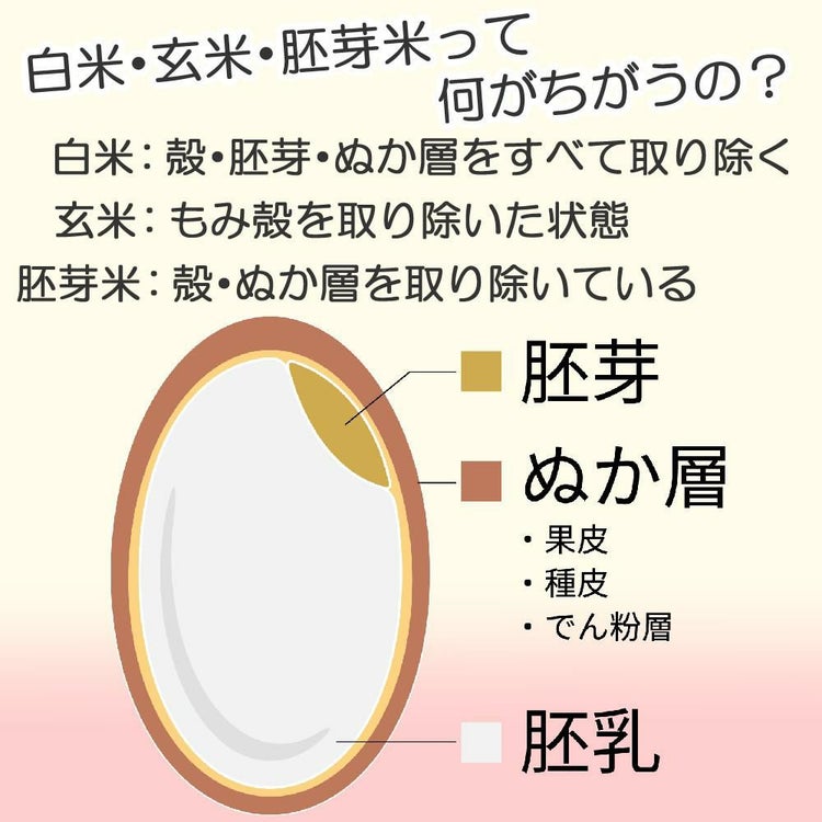 山本電気 YAMAMOTO 胚芽ごはん 胚芽抽出機 YE-HG18A