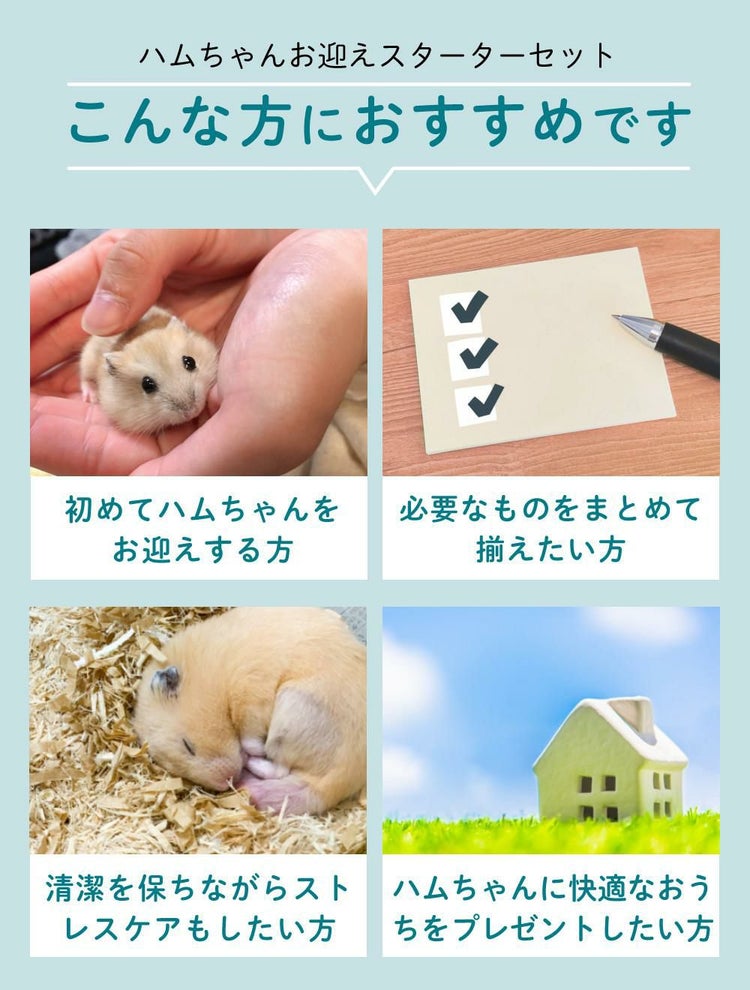 マルカン クリーンケージ 460 ハムスター飼い始め 8点セット  ラッピング不可