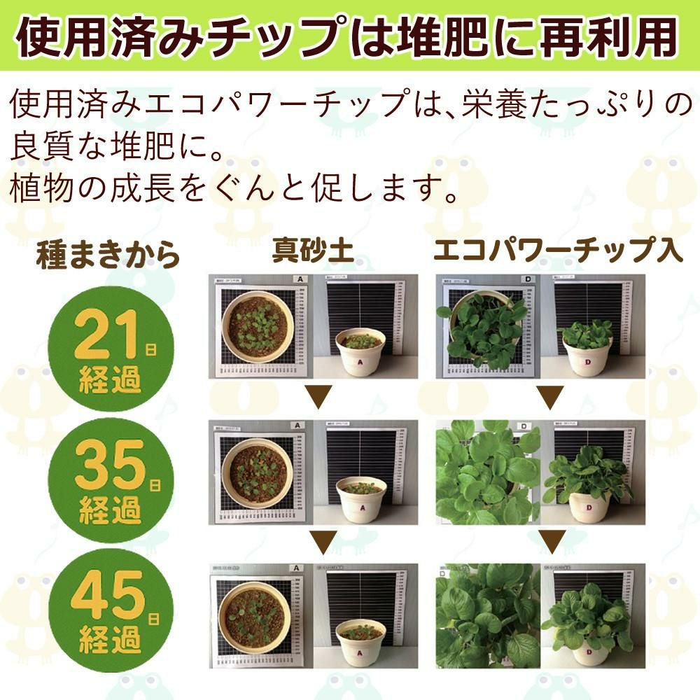 自然にカエル S SKS-101型 生ごみ処理機 交換用 エコパワーチップ 8W セット  ラッピング不可