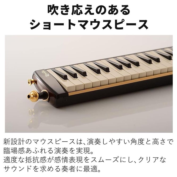 スズキ 鍵盤ハーモニカ メロディオン アルト PRO-37v3  3点セット