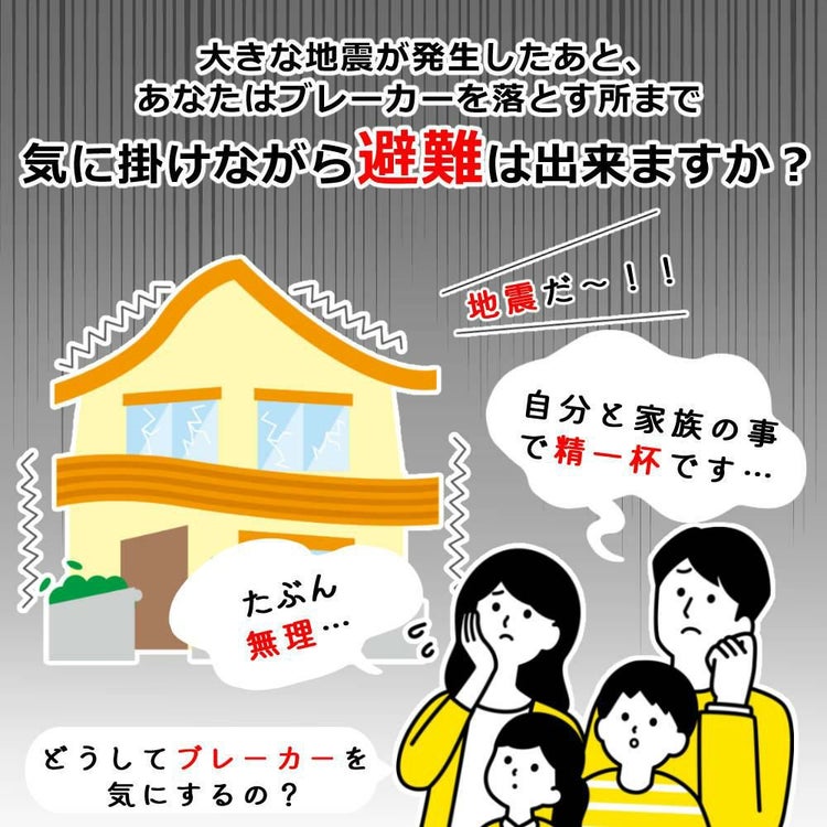 大和電器 感震ブレーカー 震太郎 X5029