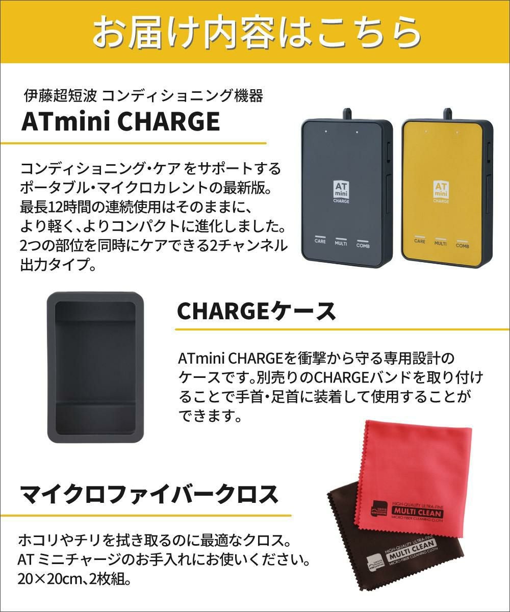 専用ケース付き) 伊藤超短波 ATミニチャージ コンディショニング機器