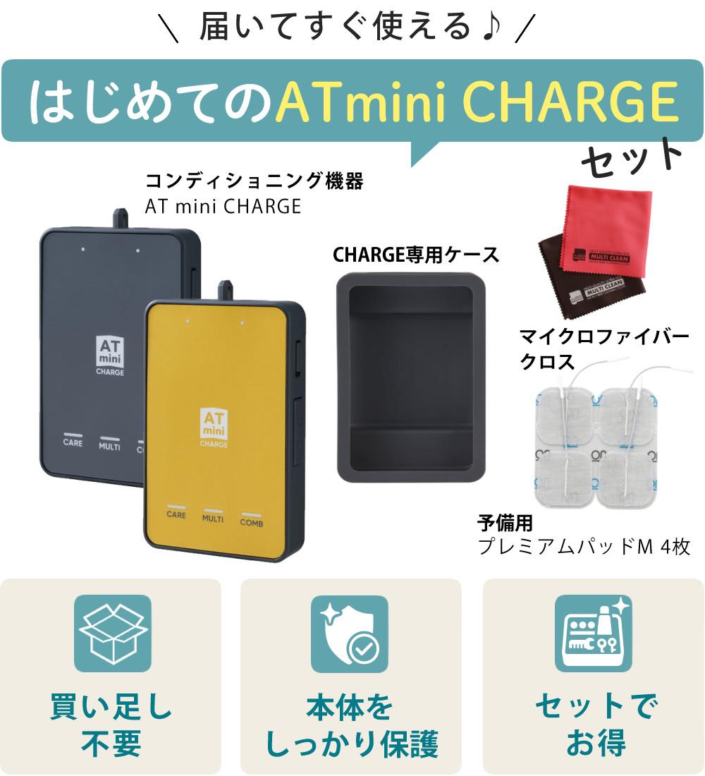予備パッド＆ケース付き) 伊藤超短波 ATミニチャージ