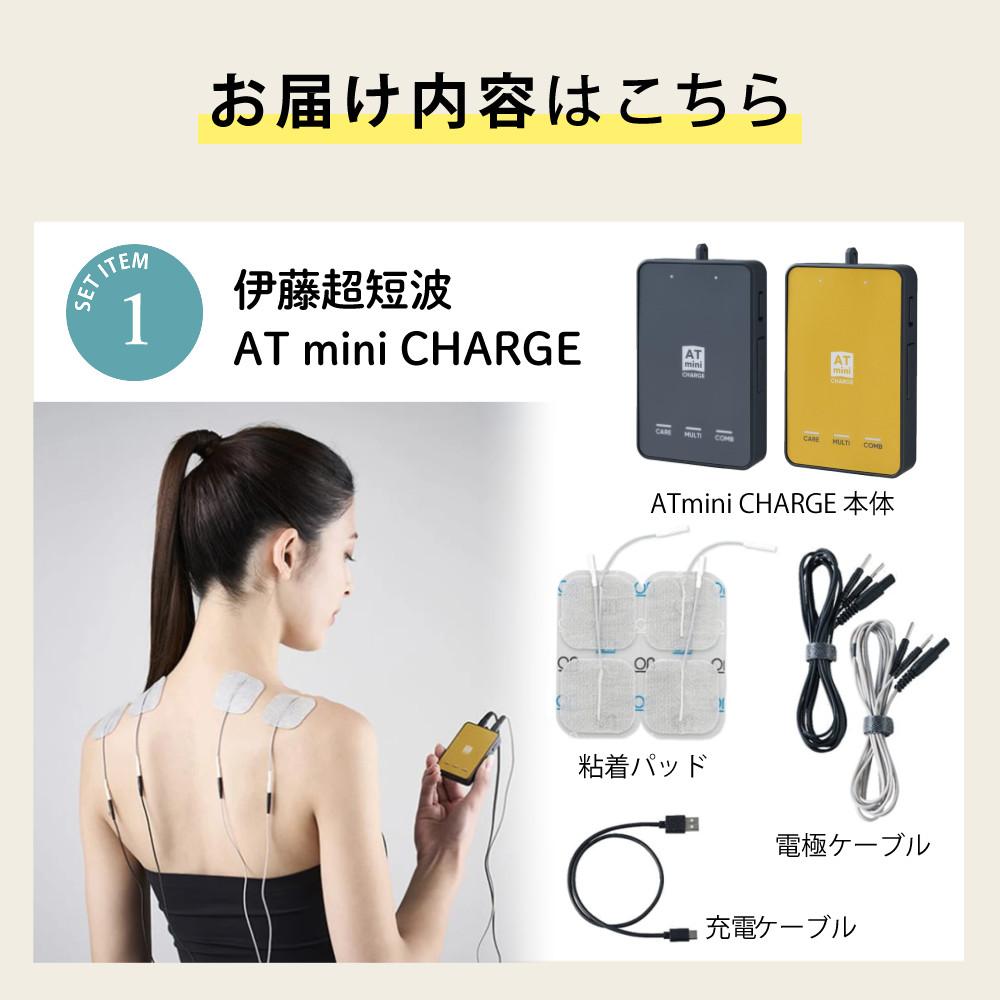 予備パッド＆ケース付き) 伊藤超短波 ATミニチャージ