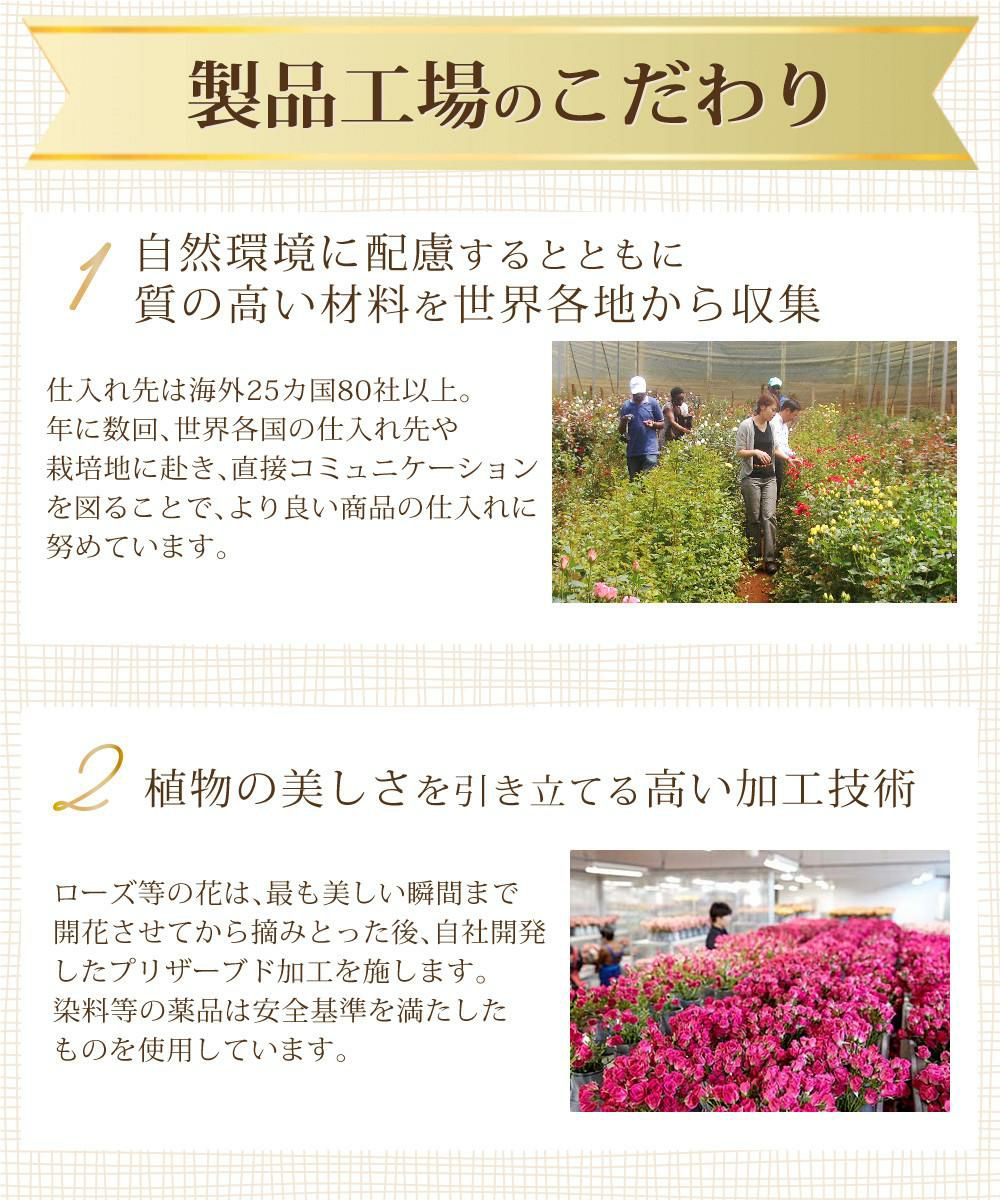 リース プリザーブドフラワー リース 母の日 ローズ バラ フラワーアレンジメント 花束 お花