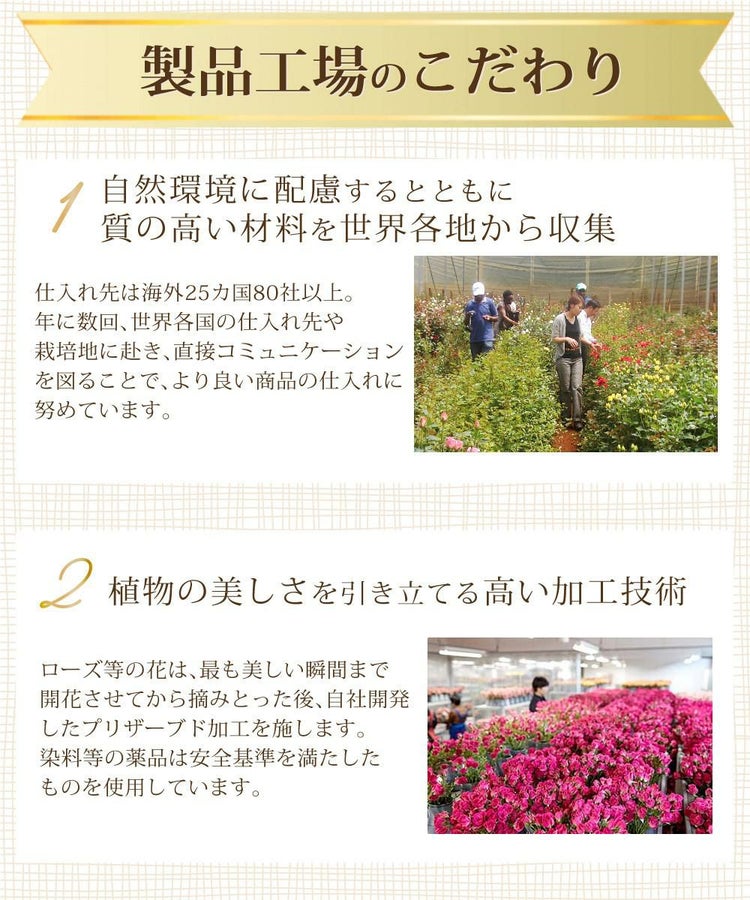 リース プリザーブドフラワー リース 母の日 ローズ バラ フラワーアレンジメント 花束 お花