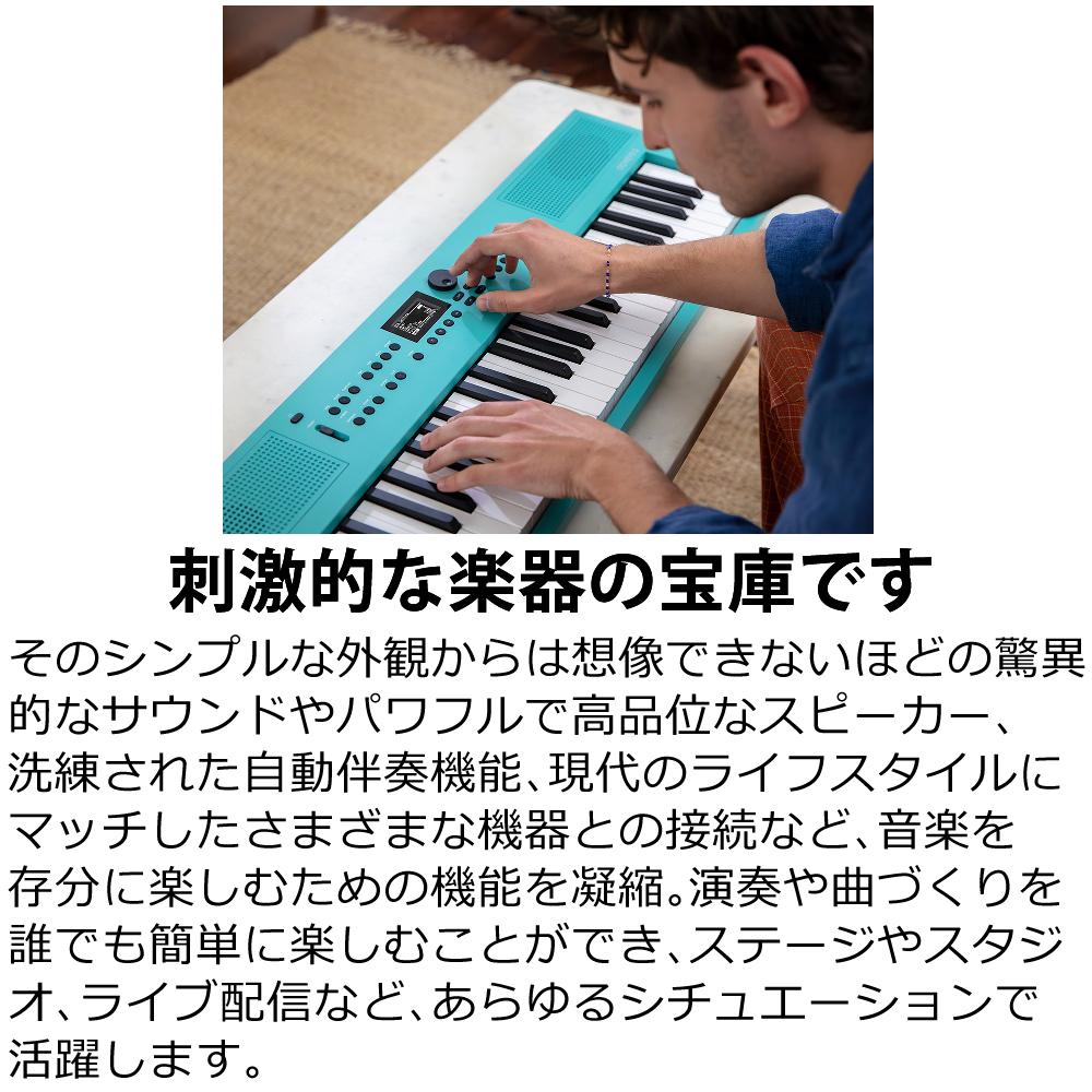 Roland GOKEYS3 GO:KEYS 3 キーボード 61鍵盤（ラッピング不可