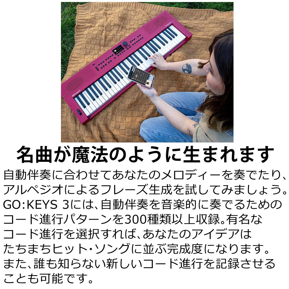 Roland GOKEYS3 GO:KEYS 3 キーボード 61鍵盤（ラッピング不可
