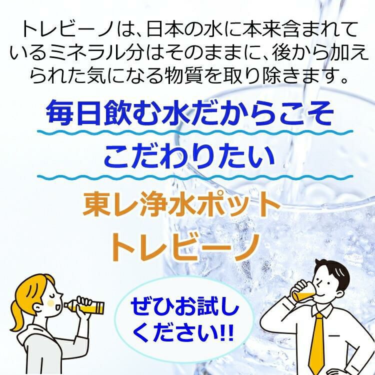 東レ トレビーノ ポット型浄水器 1.2L PT306SV 高除去タイプ