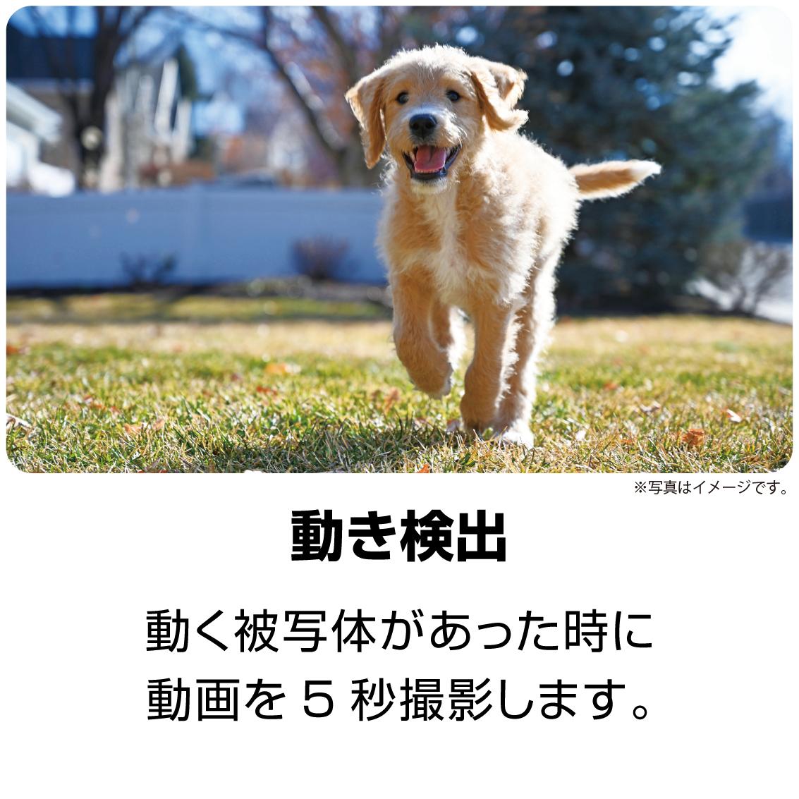 ケンコー 防水デジタルカメラ KC-WP06 KCWP06 ブルー Kenko | ホーム