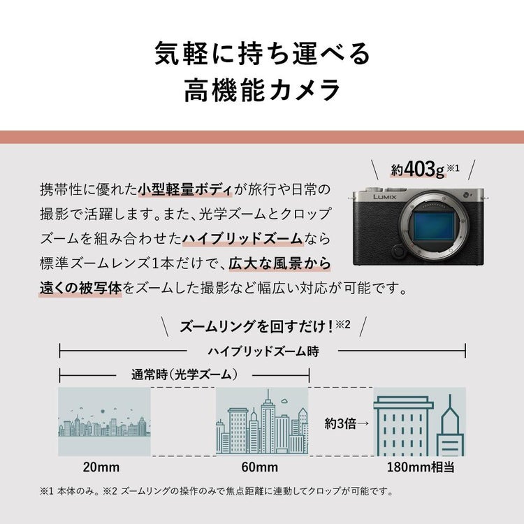 パナソニック ミラーレスカメラ LUMIX S9 ボディ DC-S9