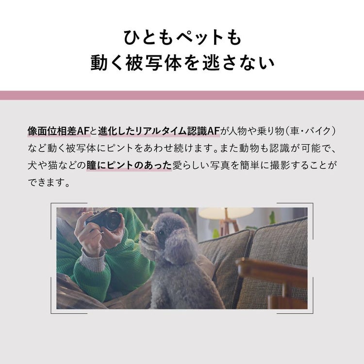 パナソニック ミラーレスカメラ LUMIX S9 ボディ DC-S9