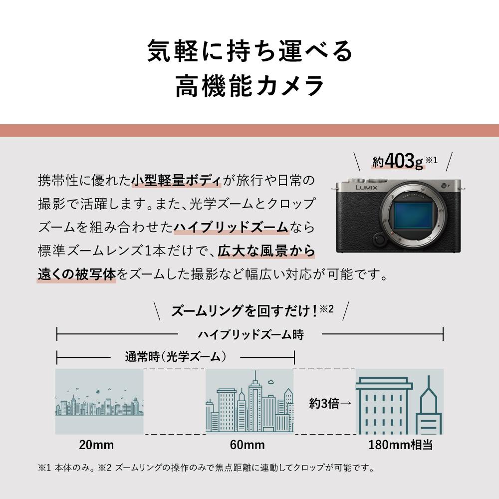 パナソニック ミラーレスカメラ LUMIX S9 ボディ フルサイズ ブラック