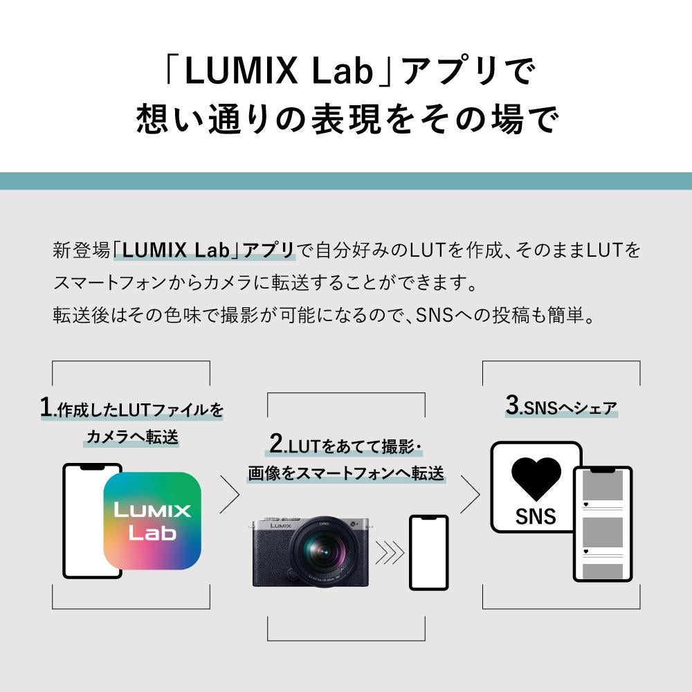 パナソニック ミラーレスカメラ LUMIX S9 ボディ フルサイズ ブラック