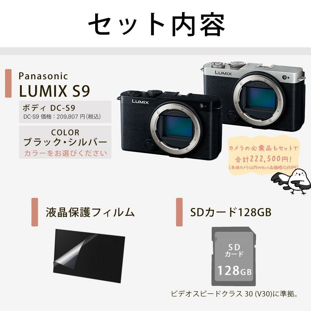 パナソニック ミラーレスカメラ LUMIX S9 ボディ DC-S9 SD＆アダプタ等5点セット