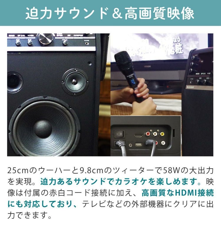 太知ホールディングス DVDカラオケシステム ＆ HDMIケーブル 3ｍ ＆ DVDカラオケ全集100 VOL1付き 3点セット ラッピング不可