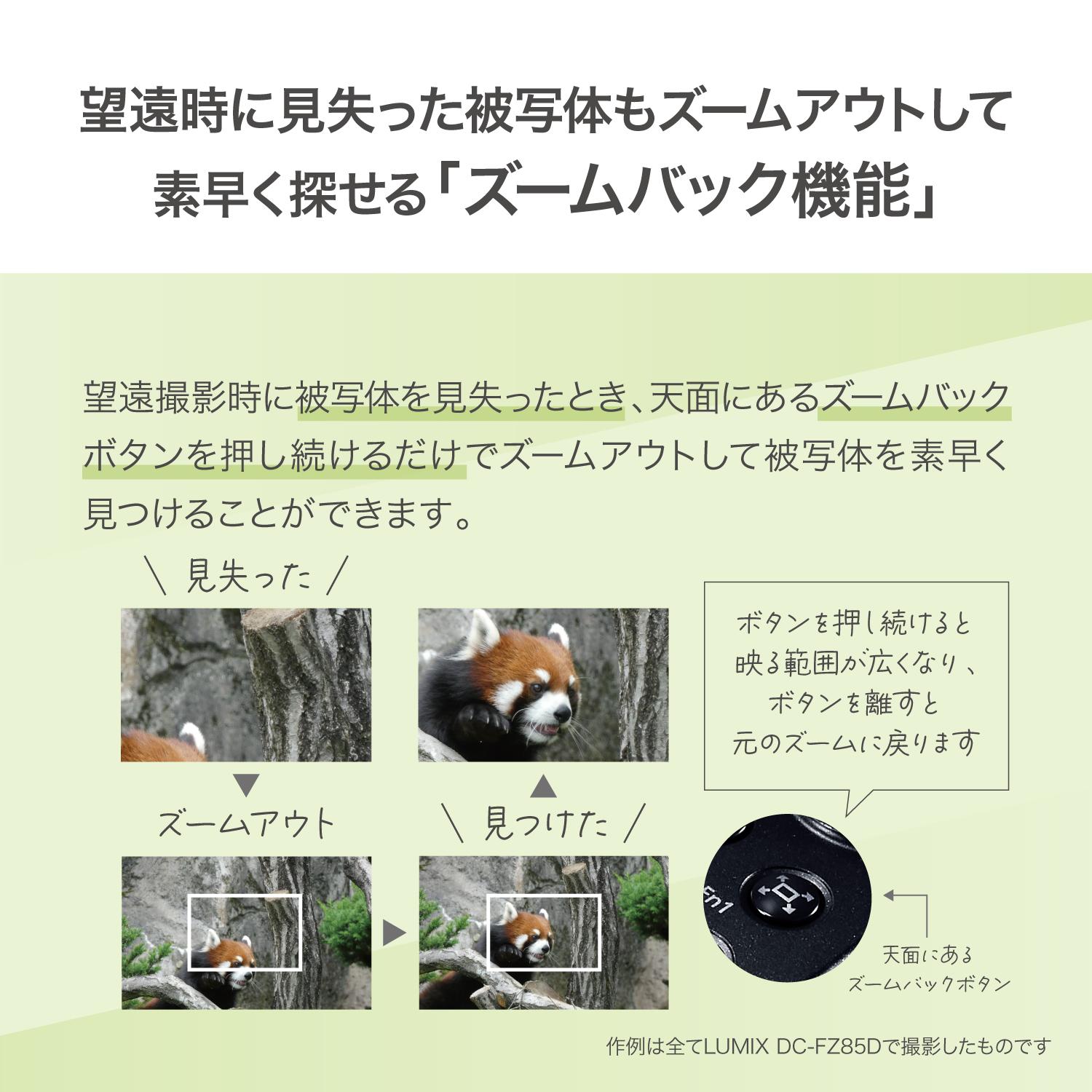 パナソニック デジタルカメラ ルミックス LUMIX FZ85D ブラック DC