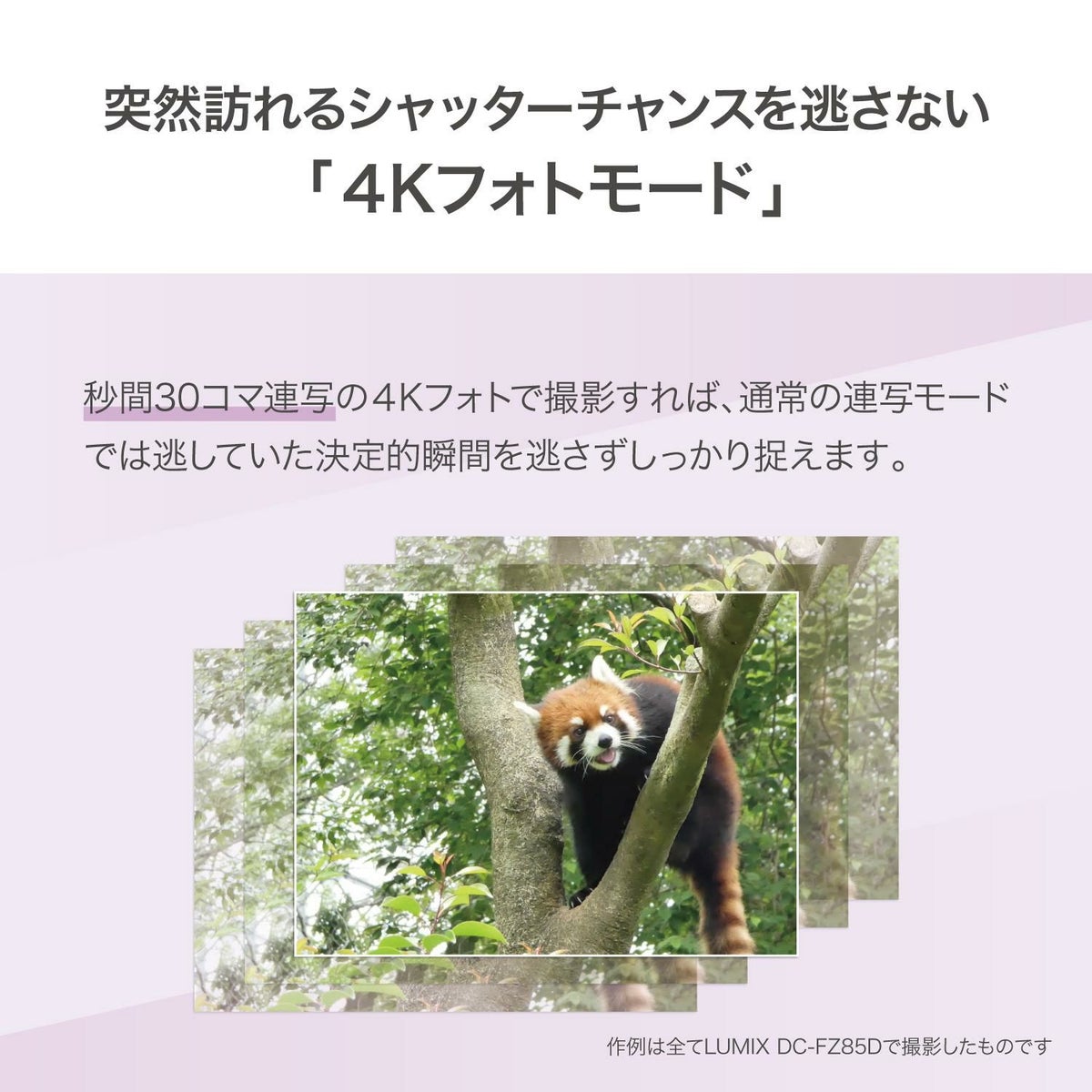 パナソニック デジタルカメラ ルミックス LUMIX FZ85D ブラック DC-FZ85D-K 三脚・SD・クロス等6点セット  ラッピング不可