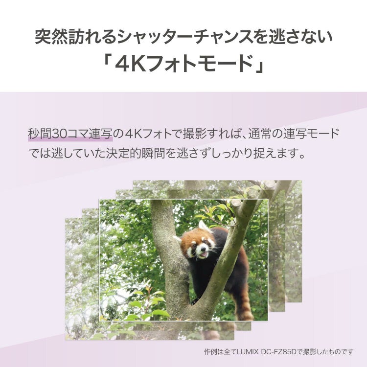 パナソニック デジタルカメラ ルミックス LUMIX FZ85D ブラック DC-FZ85D-K 三脚・SD・クロス等6点セット  ラッピング不可