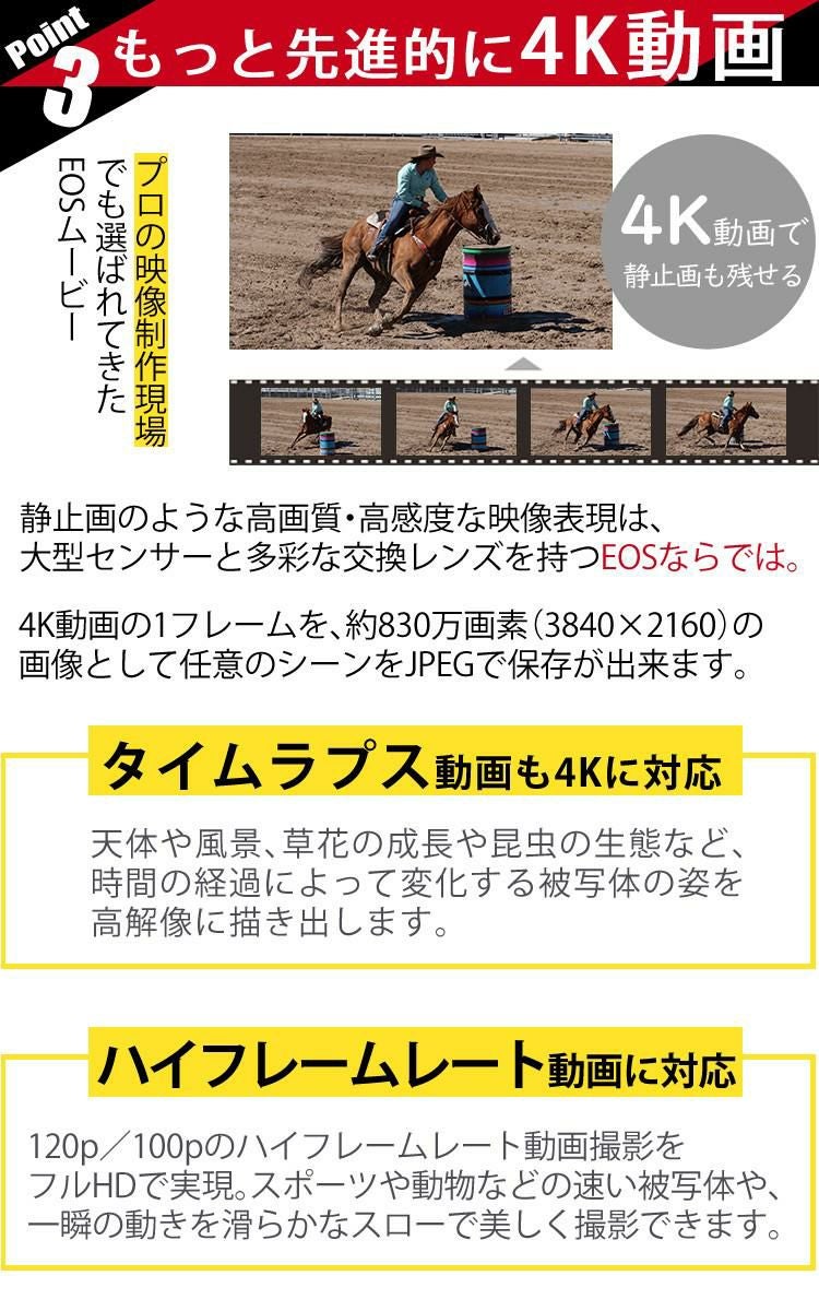 新品 キヤノン Canon  デジタル一眼レフカメラ EOS 90D デジタルカメラ 一眼レフ ミドルクラス 中級者向け 高画質 ハイアマチュア 女性 男性 ラッピング不可