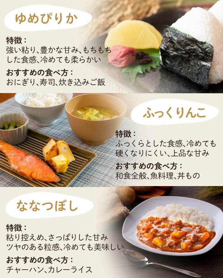 タイワ精機 家庭用精米機 MAIKO マイコ グレー PL-03 ライスストッカー 北海道産玄米3種セット付き 3点セット