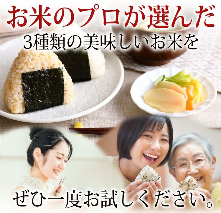 タイワ精機 家庭用精米機 MAIKO マイコ グレー PL-03 ライスストッカー 北海道産玄米3種セット付き 3点セット