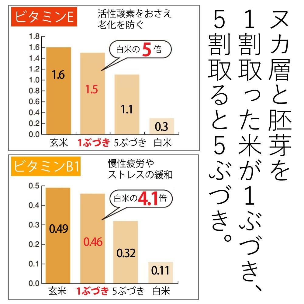 タイワ精機 家庭用精米機 MAIKO マイコ グレー PL-03 ライスストッカー 北海道産玄米3種セット付き 3点セット