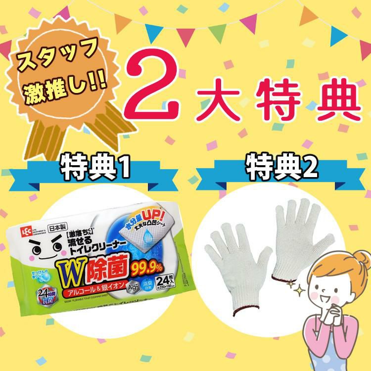 リクシル INAX 温水便座 CW-RG20/BW1 ピュアホワイト トイレクリーナー 軍手付き セット ラッピング不可