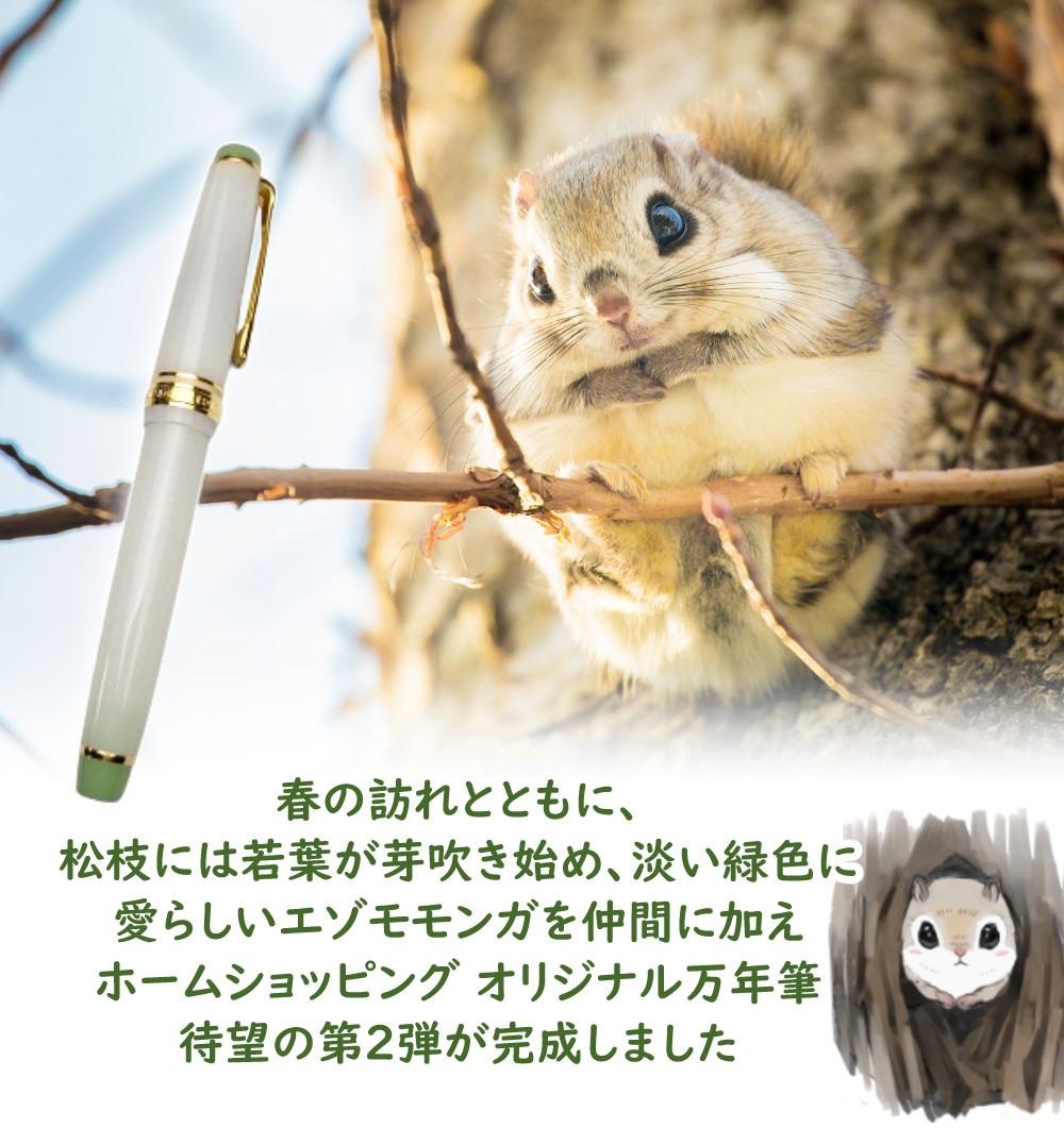 セーラー万年筆 ホームショッピングオリジナル万年筆 春を呼ぶ
