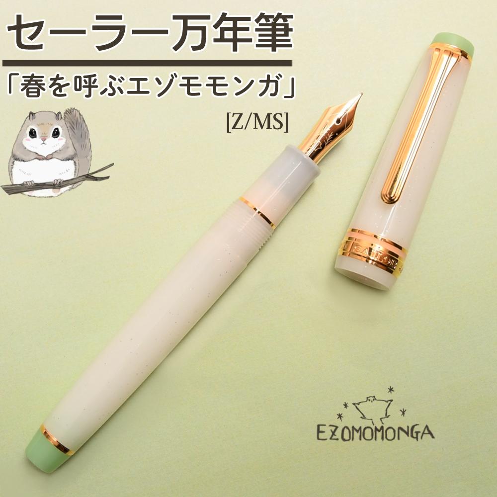 Sailor ゴールド 万年筆 万年筆 Sailor ゴールド 万年筆 プロフェッショナルギア 万年筆 名入れ