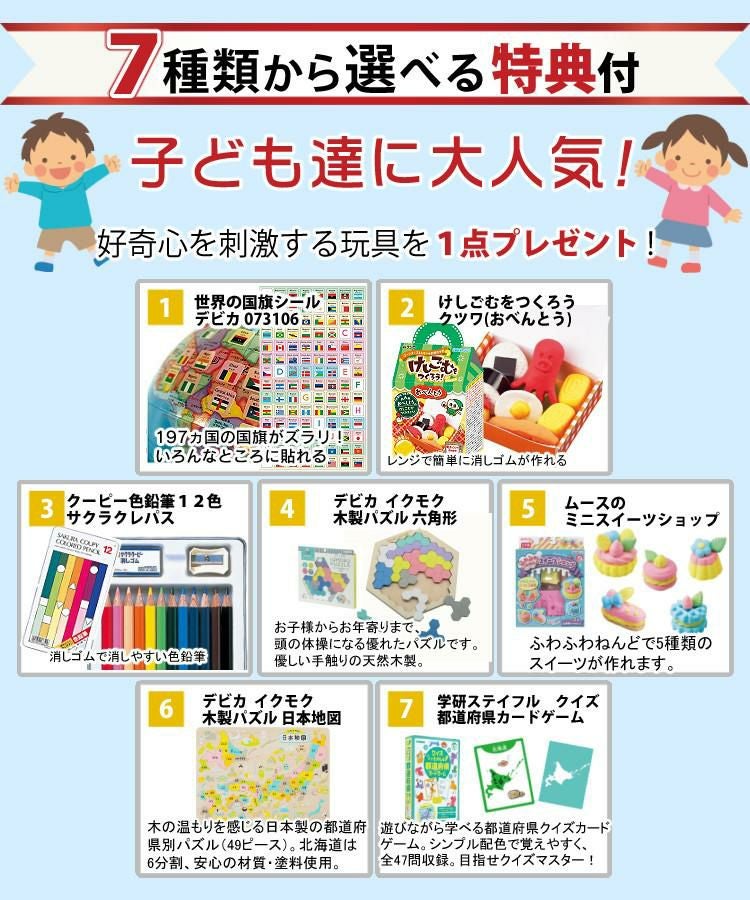 レイメイ藤井 しゃべる国旗付地球儀 トイ 全回転・音声機能付  OYV403 球径 25cm 選べる特典セット 地球儀 喋る プレゼント
