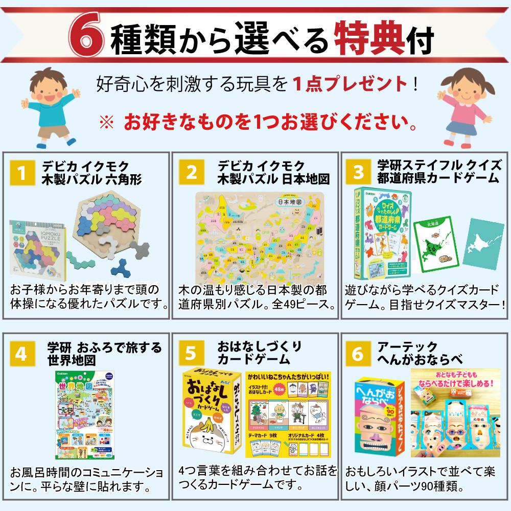 レイメイ藤井 しゃべる国旗付地球儀 トイ 全回転・音声機能付  OYV403 球径 25cm 選べる特典セット 地球儀 喋る プレゼント