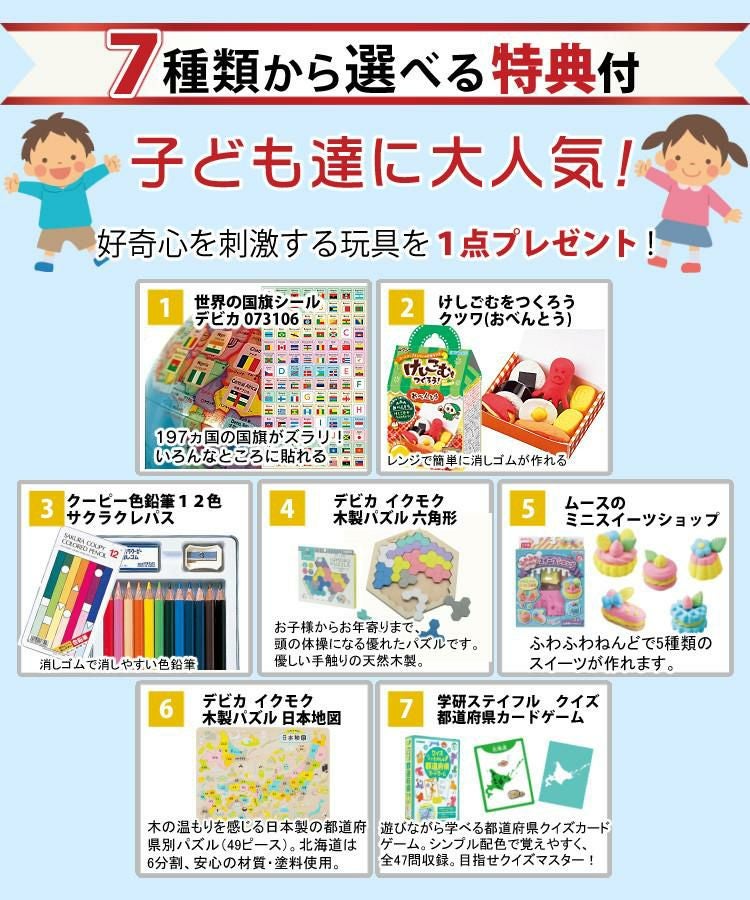 しゃべる国旗付地球儀 スタンダード 音声機能付  OYV46 球径 20cm 選べる特典セット レイメイ藤井 地球儀 しゃべる プレゼント