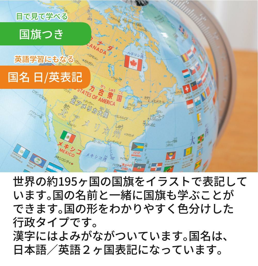 しゃべる国旗付地球儀 スタンダード 音声機能付  OYV46 球径 20cm 選べる特典セット レイメイ藤井 地球儀 しゃべる プレゼント