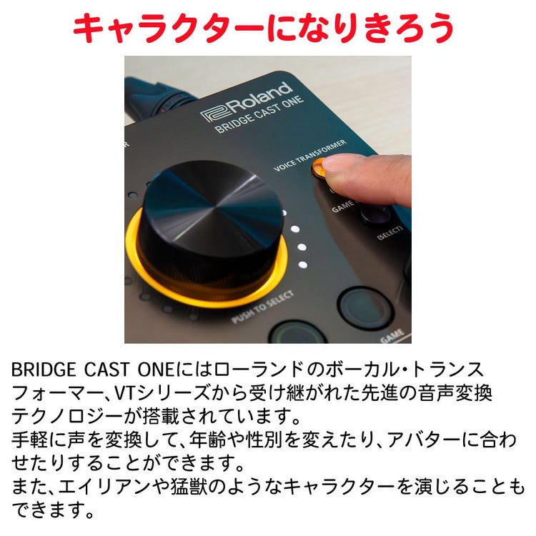ローランド Roland ゲーミングDAC ミキサー BRIDGE CAST ONE BRC-ONE ヘッドホンセット ラッピング不可