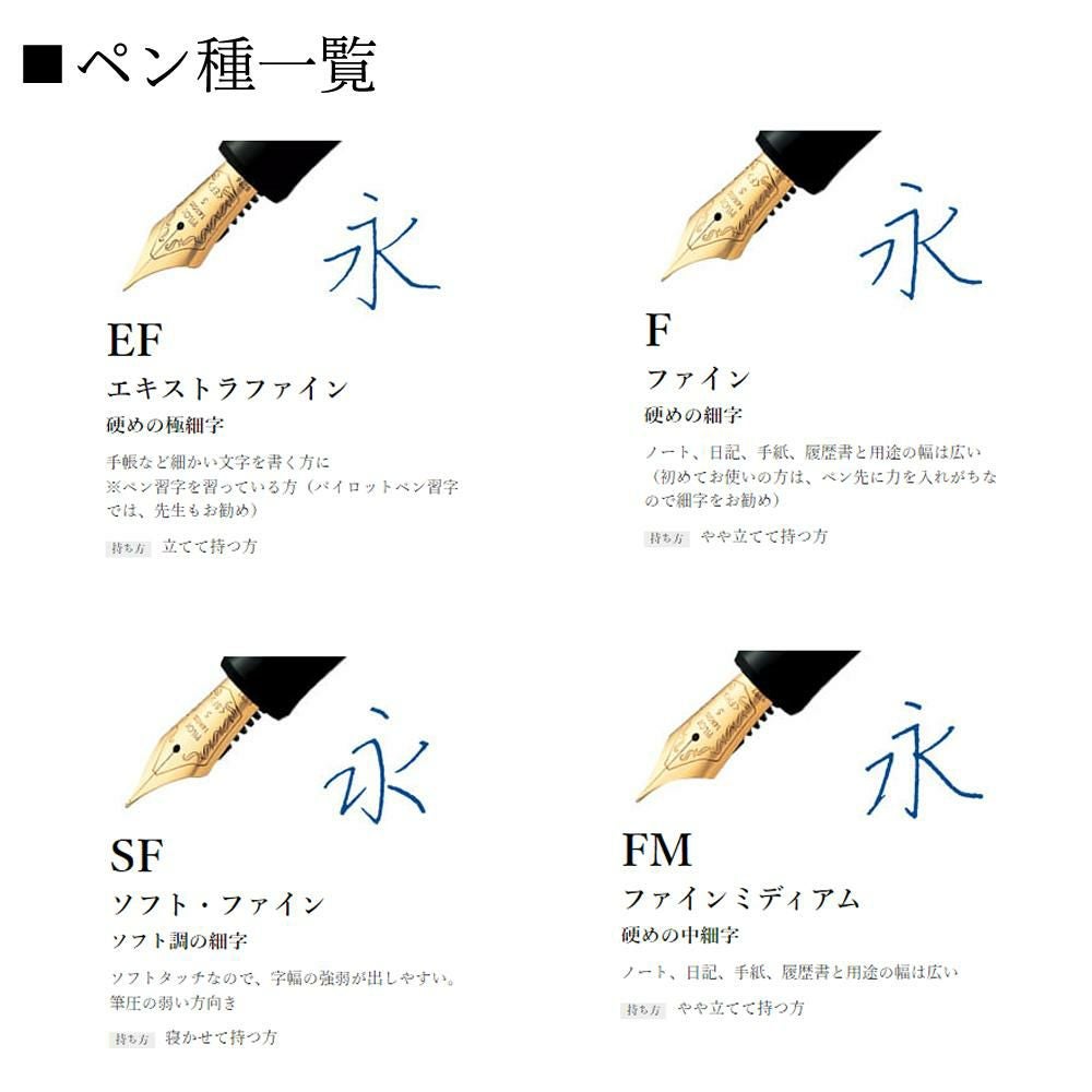 パイロット 万年筆 カスタム ヘリテイジ912 FKVH2MR FKVH2MR-B ボトルインク付き 4点セット