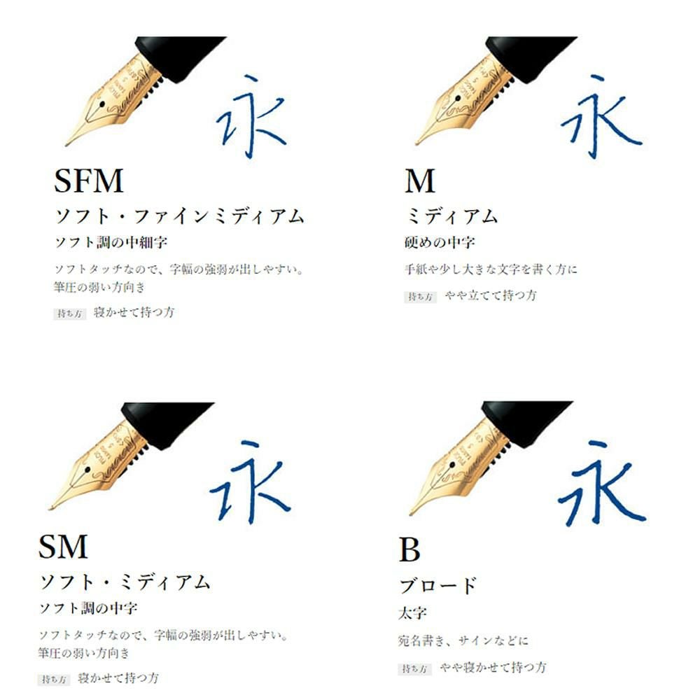 パイロット 万年筆 カスタム ヘリテイジ912 FKVH2MR FKVH2MR-B ボトルインク付き 4点セット