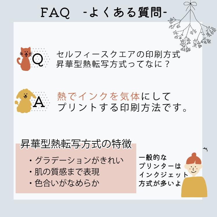 キヤノン ミニフォトプリンター SELPHY QX20 グレー＆用紙20枚セット＆アダプター＆ポーチ