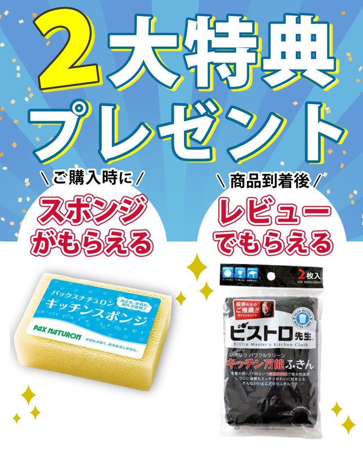 料理研究家リュウジ監修 リュウジの万能スキレット スキレット鍋 陶器 スポンジ付きセット