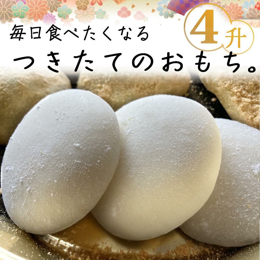 エムケー精工 餅つき機 もちつき 全自動 4升 RM-721SZ