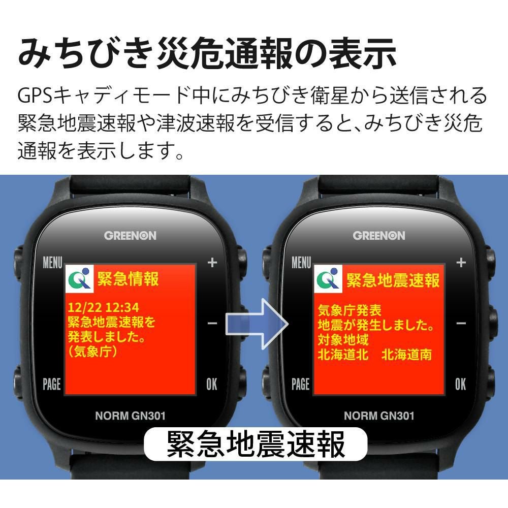 ボール付）グリーンオン THE GOLF WATCH NORM GN301 ゴルフナビ GPS